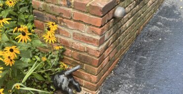 Tuckpointing